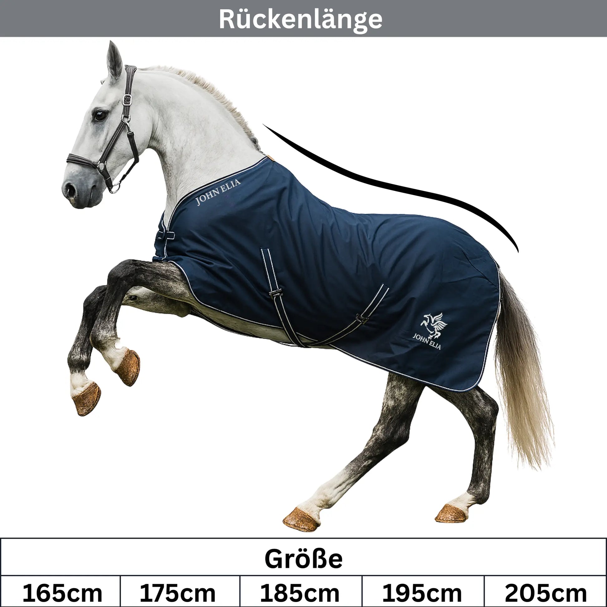 Horse wearing a blue rug with visible branding, standing on a white background.