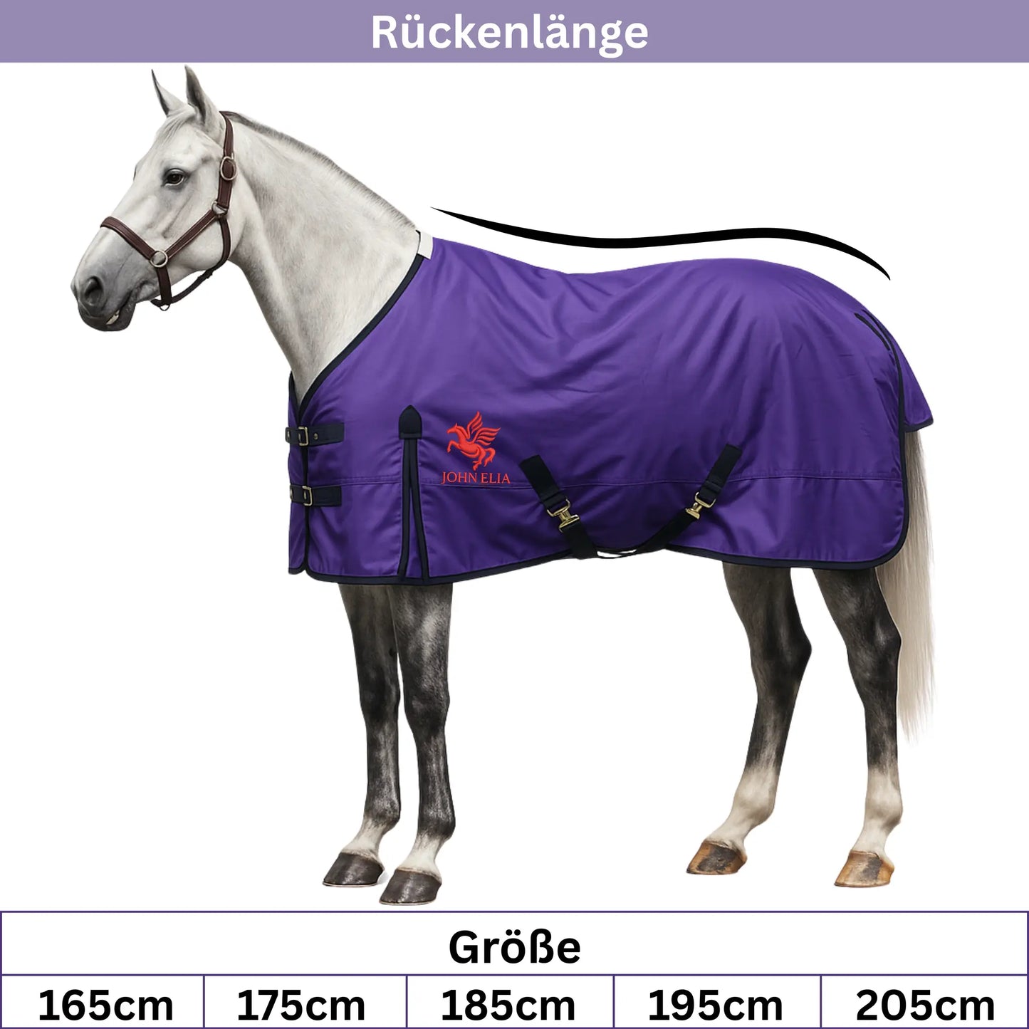 Horse wearing a purple blanket with a brand logo on a white background
