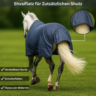 Horse wearing a blue protective blanket with additional features highlighted on a grassy background.