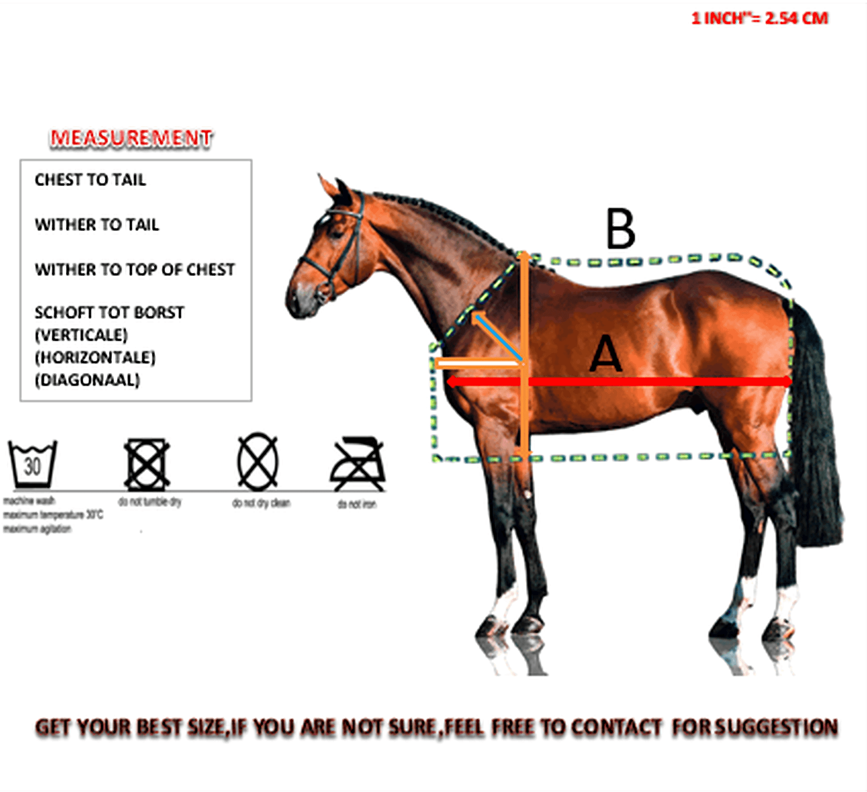 Horse measurement chart with labeled parts and scale on a white background