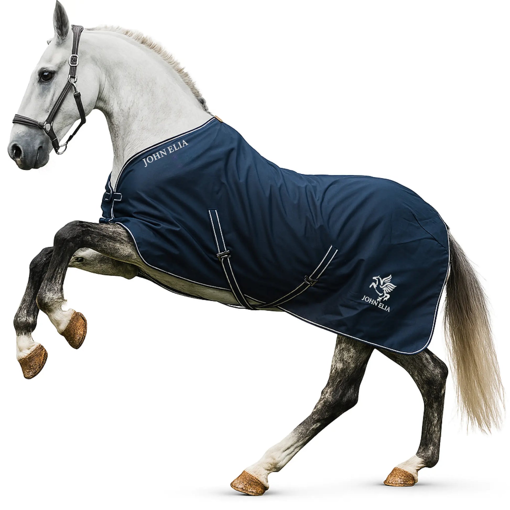 White horse wearing a navy blue John Elia rug on a white background