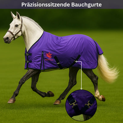 Horse wearing a purple rug with a close-up of the girth strap on a green field.