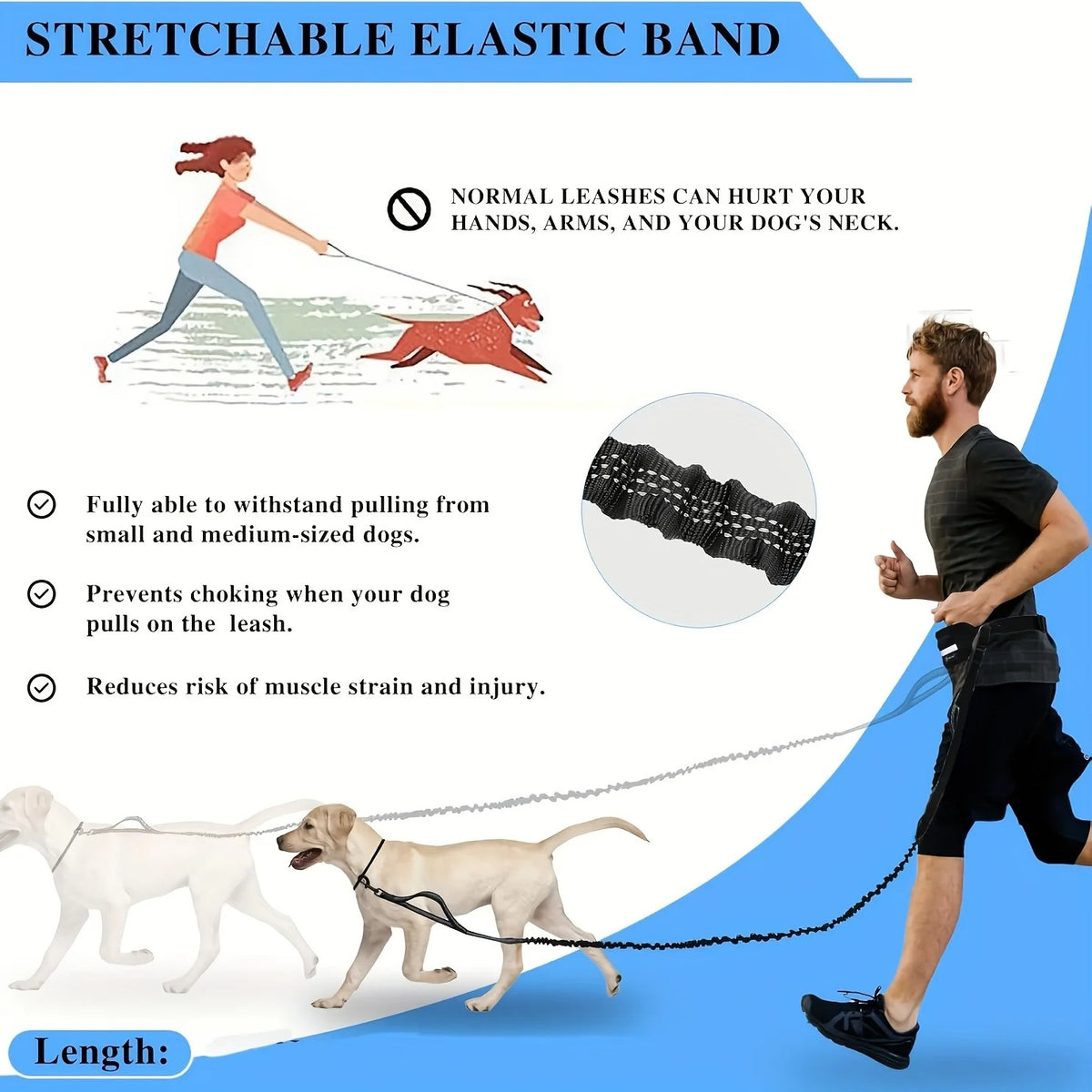 Hands Free Dog Leash