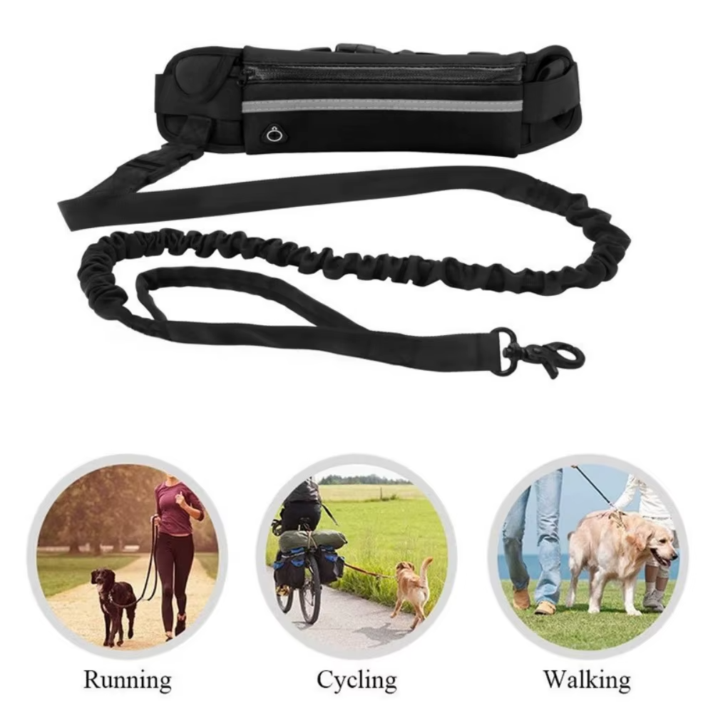 Hands Free Dog Leash