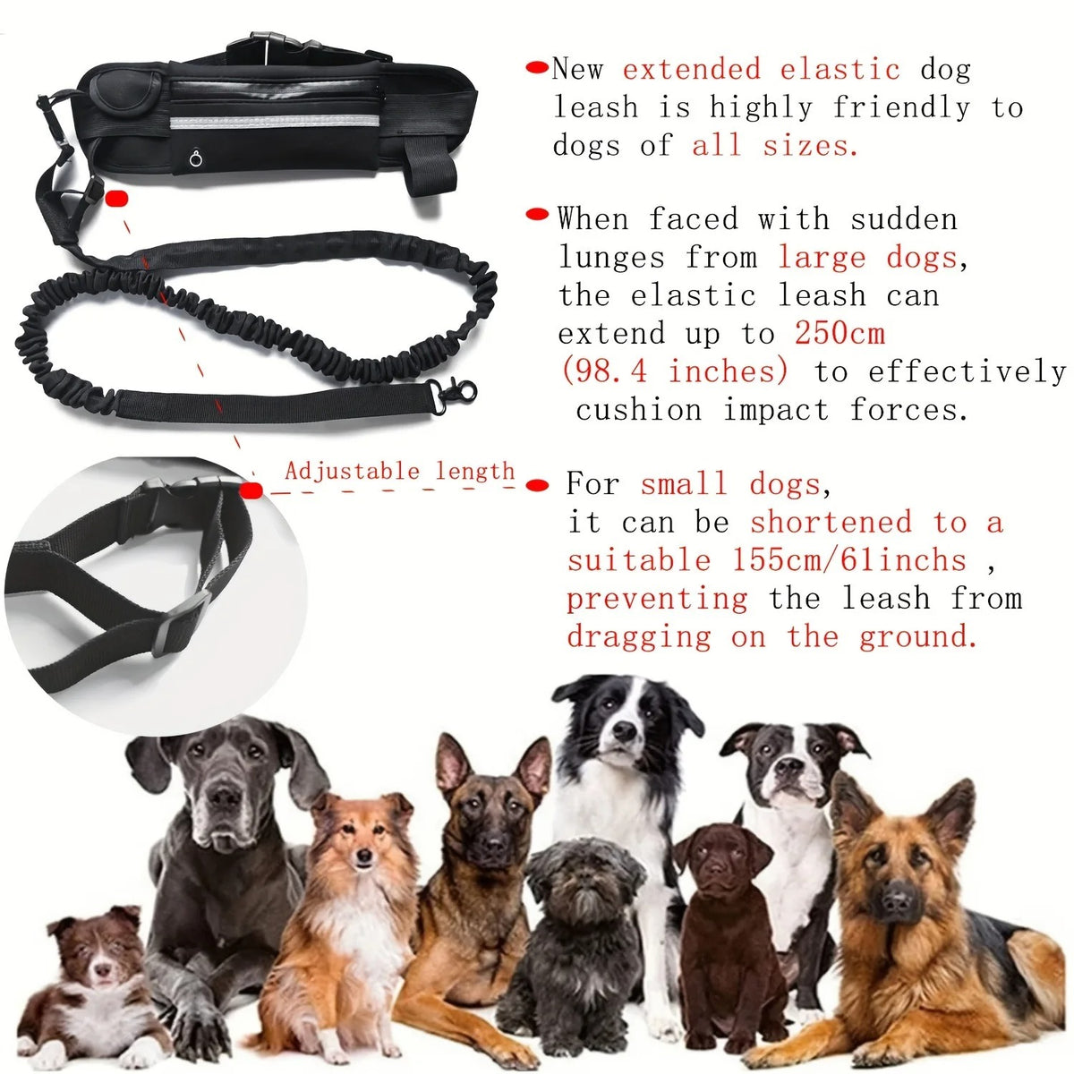 Hands Free Dog Leash
