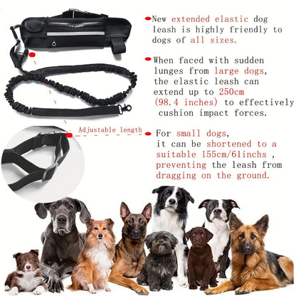 Hands Free Dog Leash
